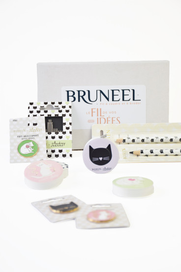 Kit accessoires Chat BOHIN | Le Fil de vos Idées
