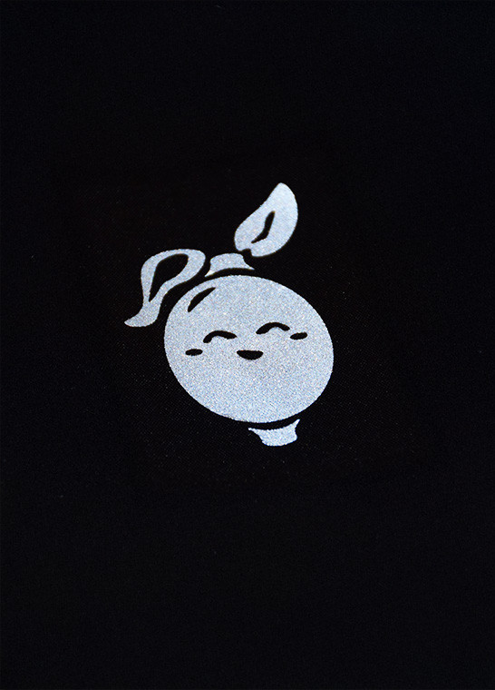 Stickers réfléchissants thermocollants - Fruits