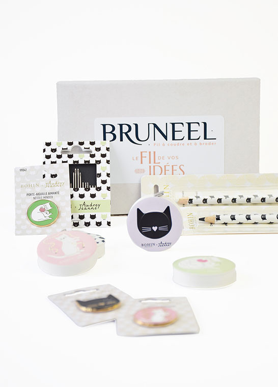 Kit accessoires Chat BOHIN | Le Fil de vos Idées