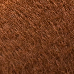 Couleur ref. 478